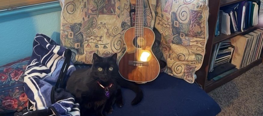 Cat sitting by a Ukelele